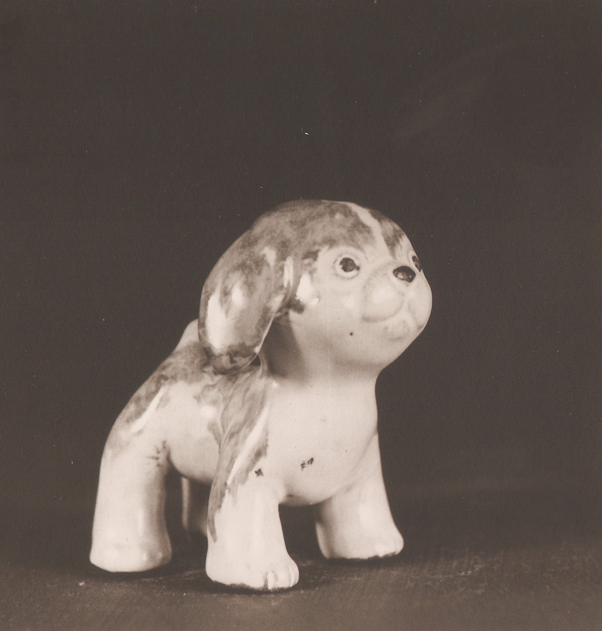 17 - Koira